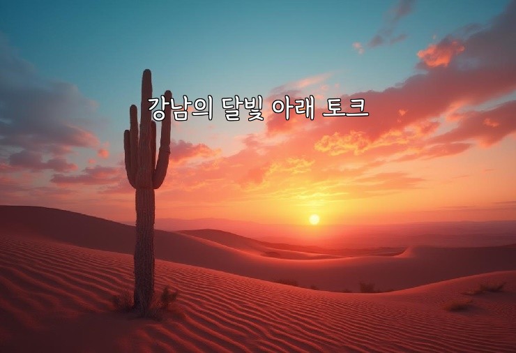 강남의 달빛 아래 토크