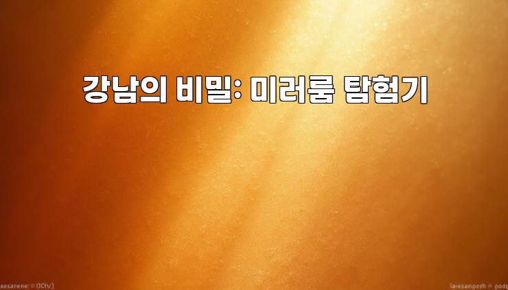 강남의 비밀: 미러룸 탐험기